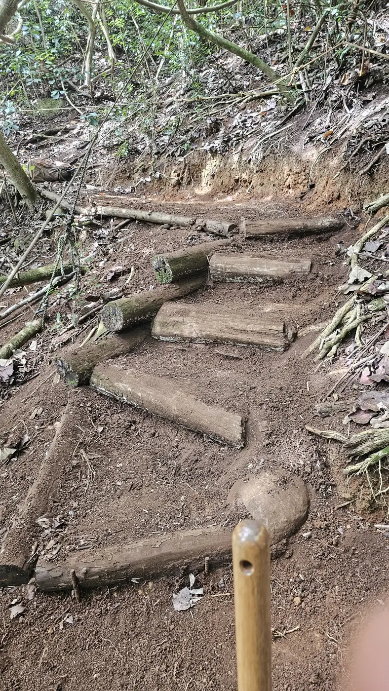 Log steps set into the slope