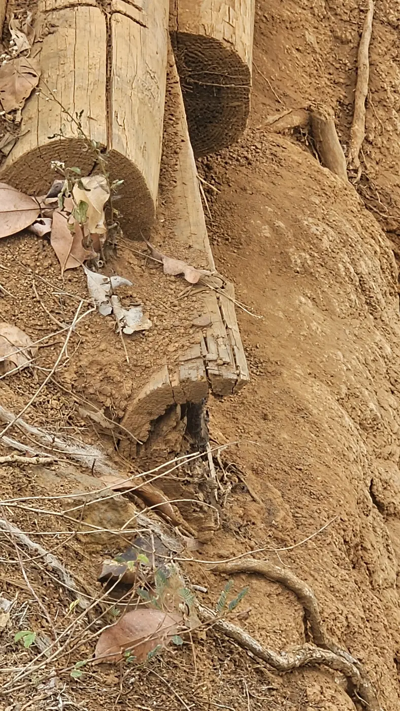 Bare, eroded bank before the build