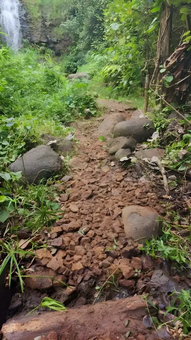 A rocky jungle trail leading toward a waterfall