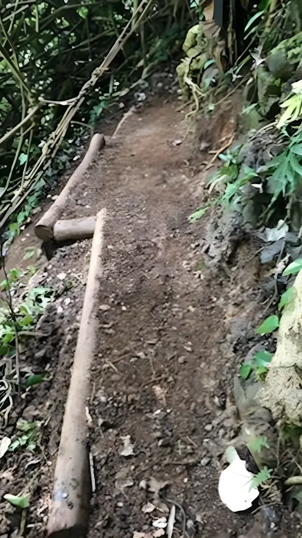 A log water bar set across a dirt trail