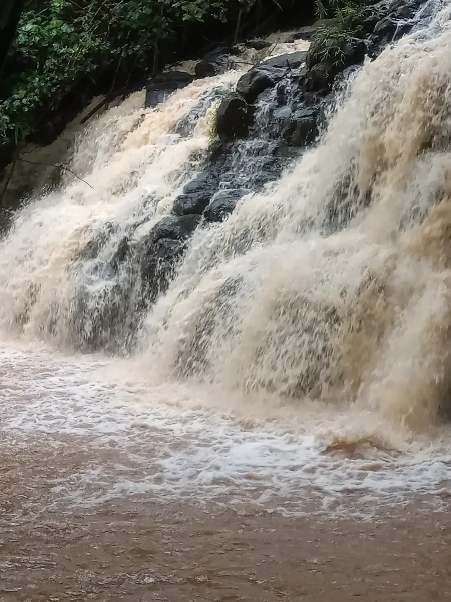 A Kauai waterfall in flood, pouring thick brown water into a churning pool