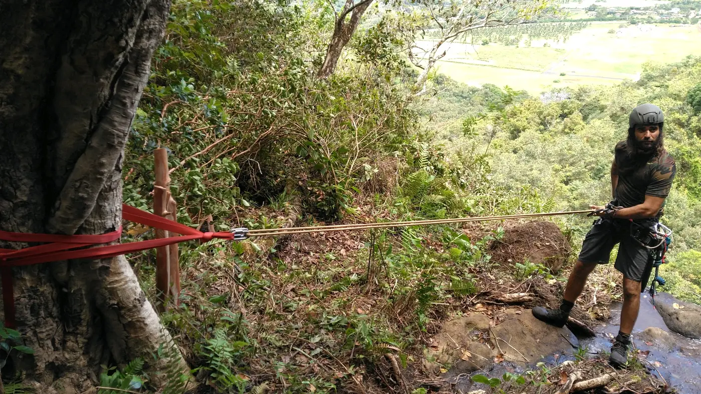 Rigging a line from a tree anchor above a valley