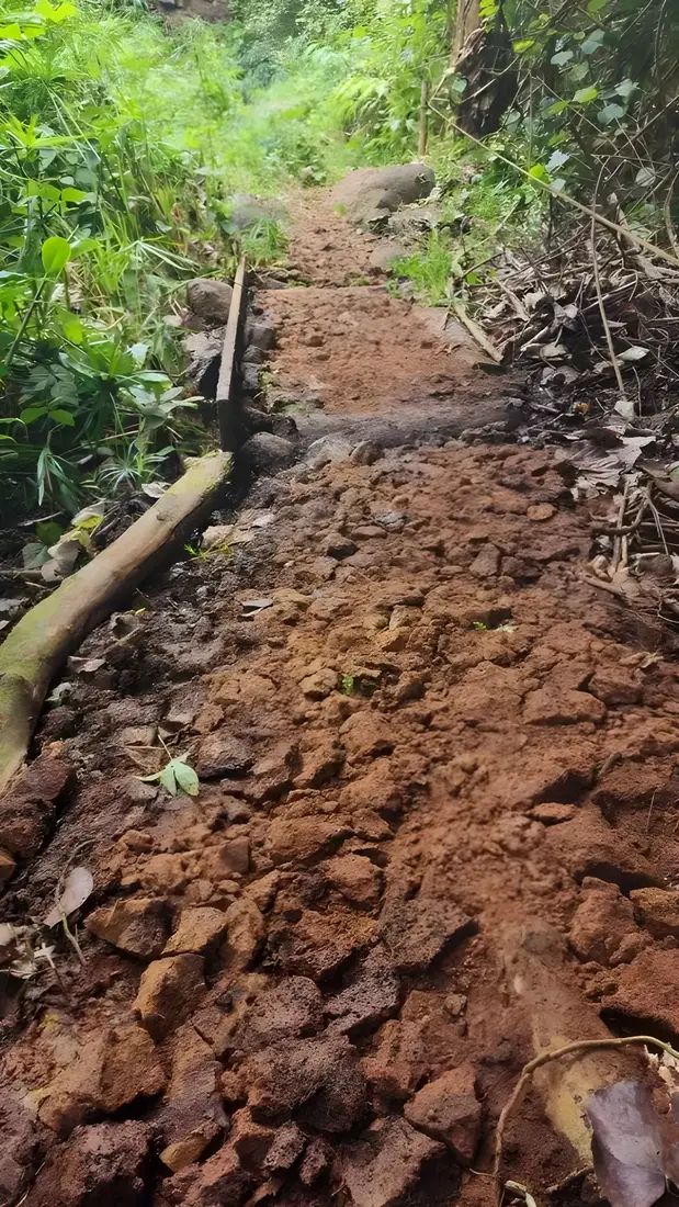 Rock-armored trail tread through wet jungle