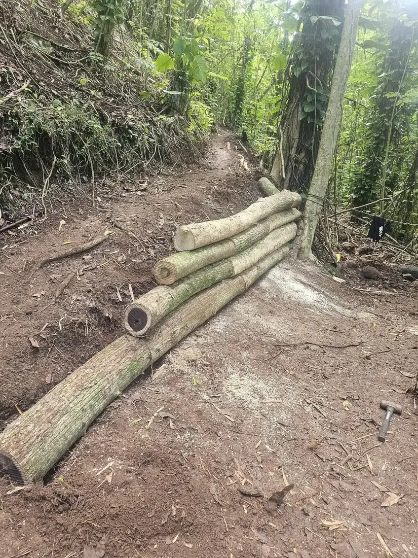 Completed log steps