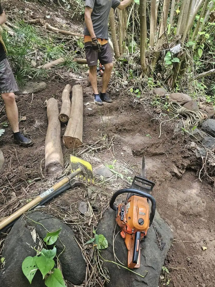 Chainsaw, tools and freshly cut logs on a trail build