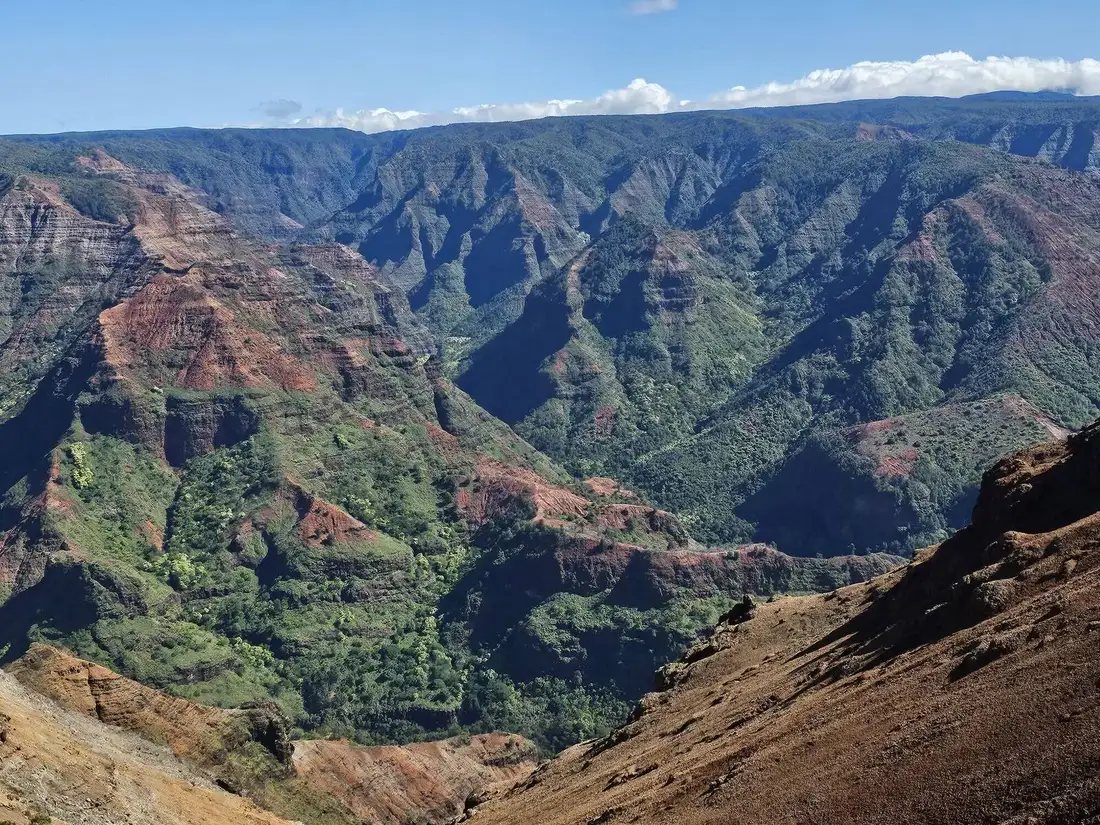 Looking across the layered red and green ridges of Waimea Canyon